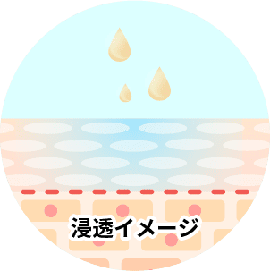 浸透イメージ